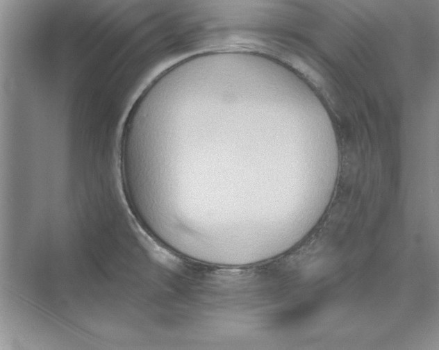 X0000073411478200608111312