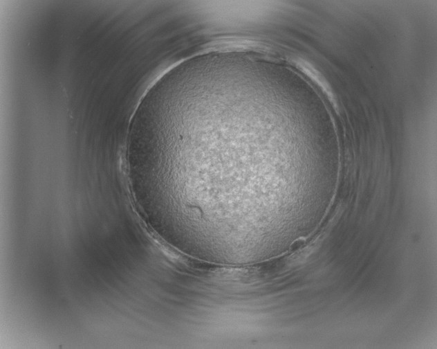 X0000073411481200608111312