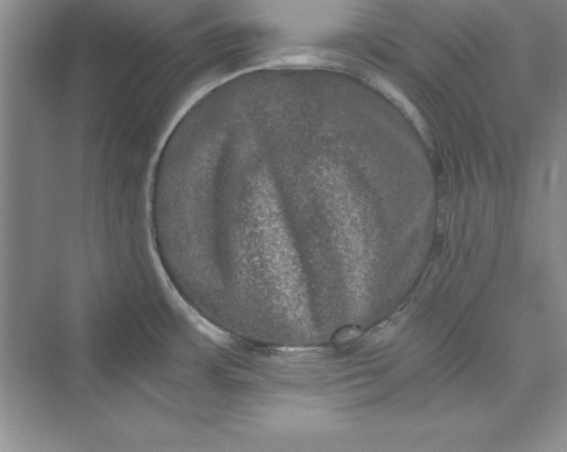 X0000073411483200608111312