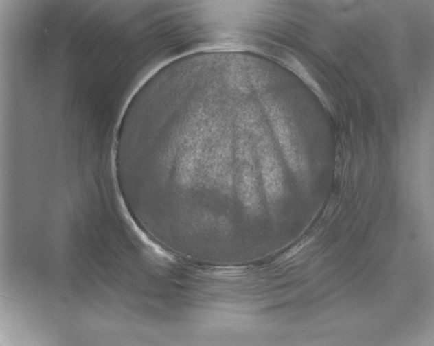 X0000073411484200608111312