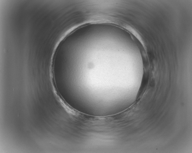 X0000073411485200608111312