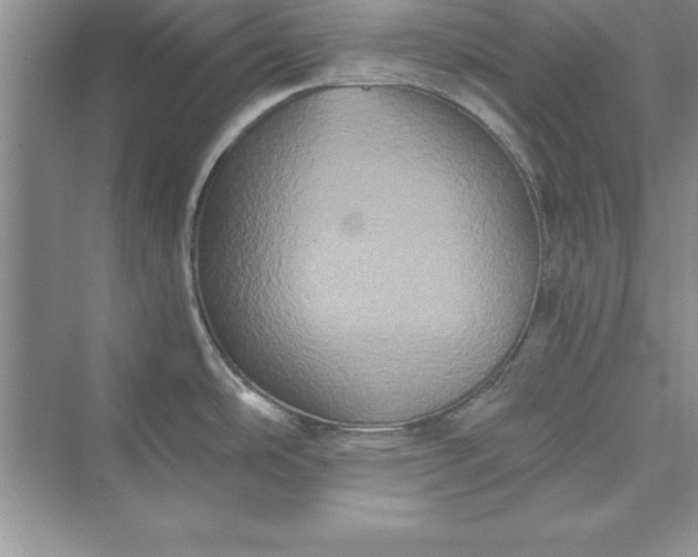 X0000073411486200608111312