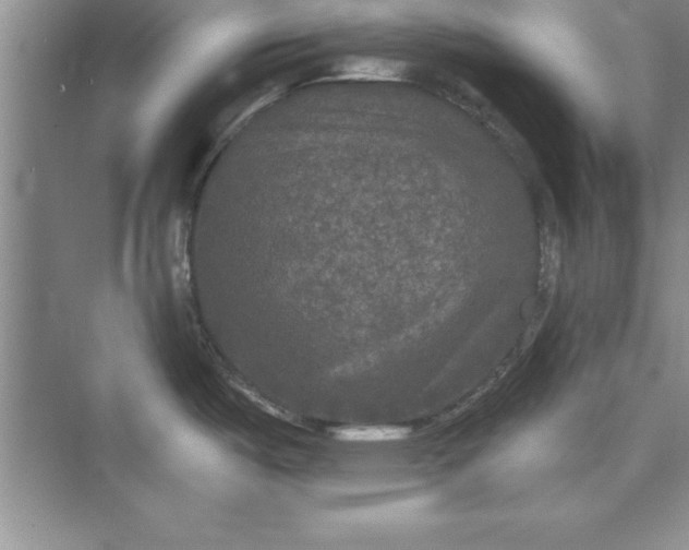 X0000073411487200608111312