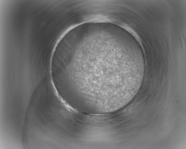 X0000073411488200608111312