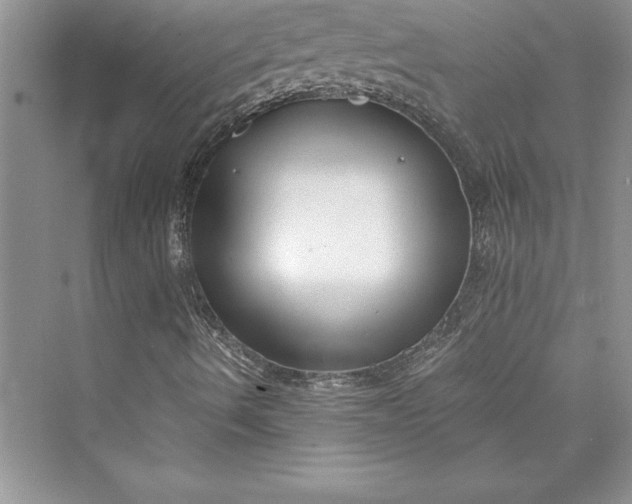 X0000073411490200608111311