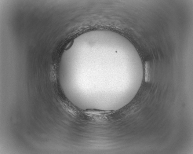 X0000073411491200608111311