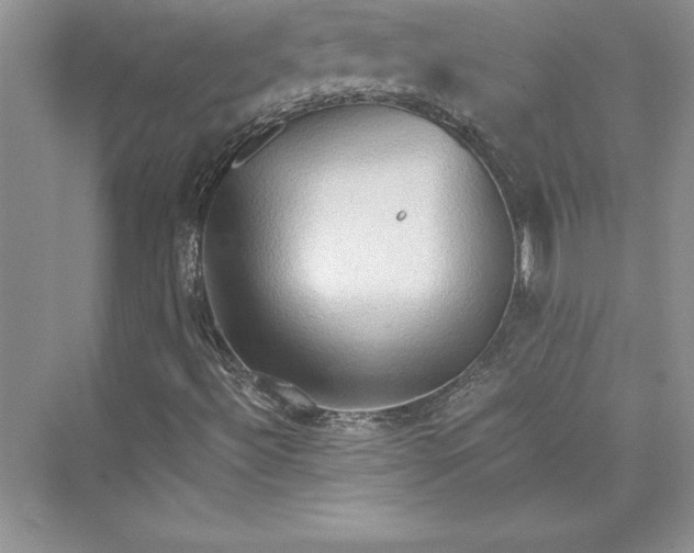 X0000073411492200608111311