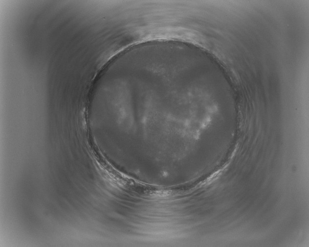 X0000073411497200608111311