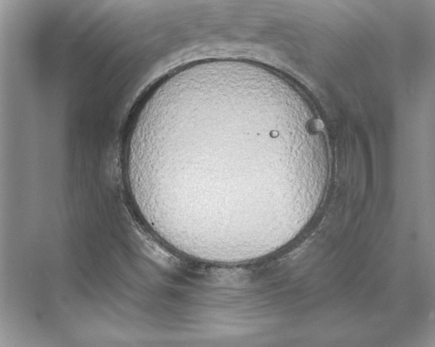 X0000073411498200608111311