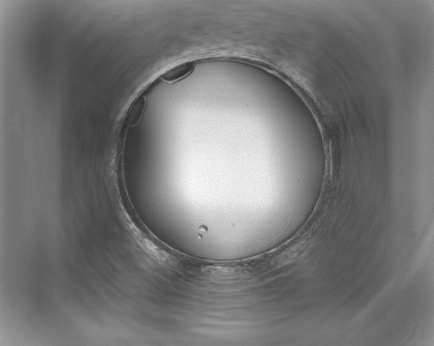 X0000073411500200608111311