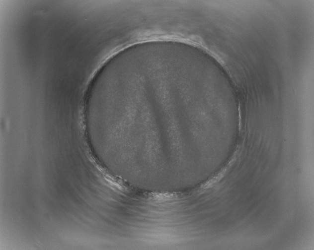 X0000073411501200608111311