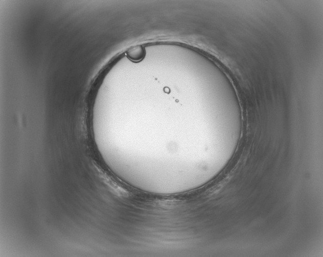 X0000073411502200608111311