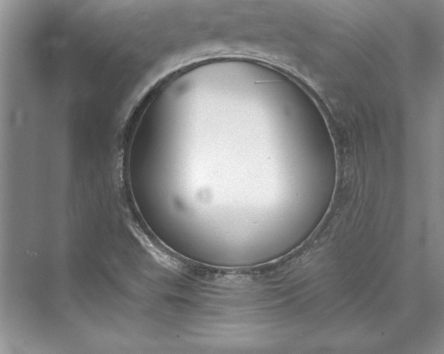 X0000073411503200608111311