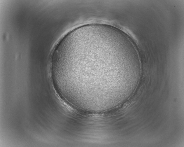 X0000073411504200608111311