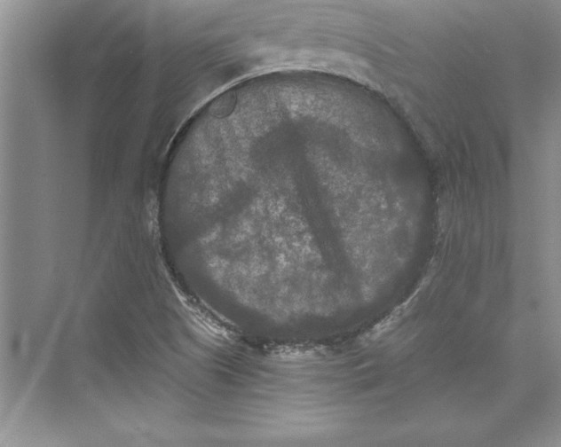 X0000073411505200608111311