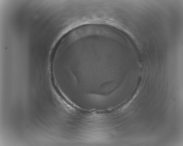 X0000073411506200608111311