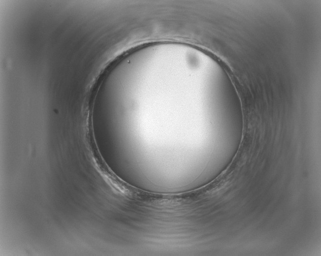 X0000073411507200608111311