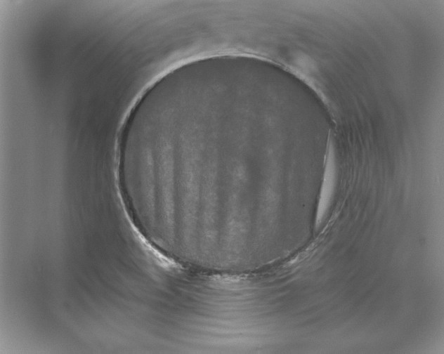 X0000073411508200608111311