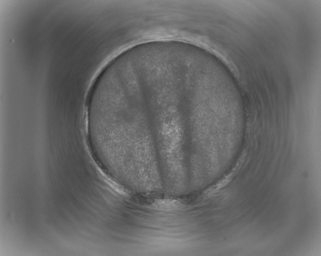 X0000073411509200608111311