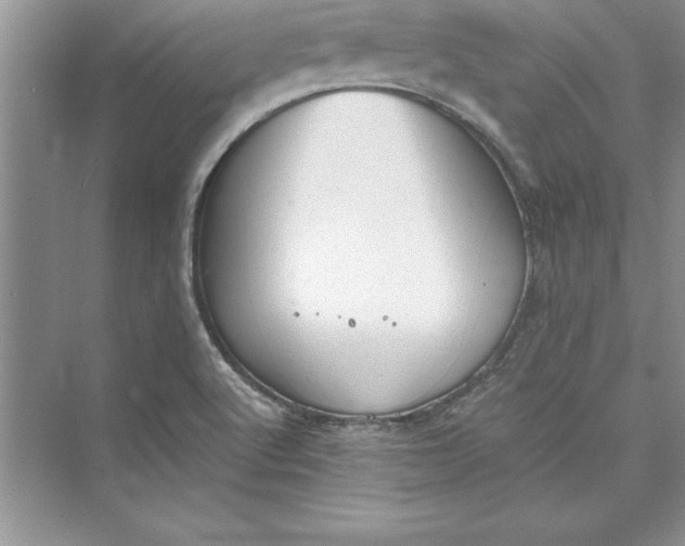 X0000073411512200608111311