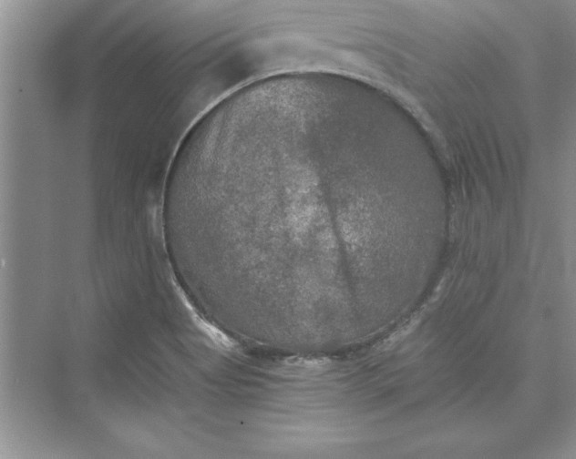 X0000073411513200608111311