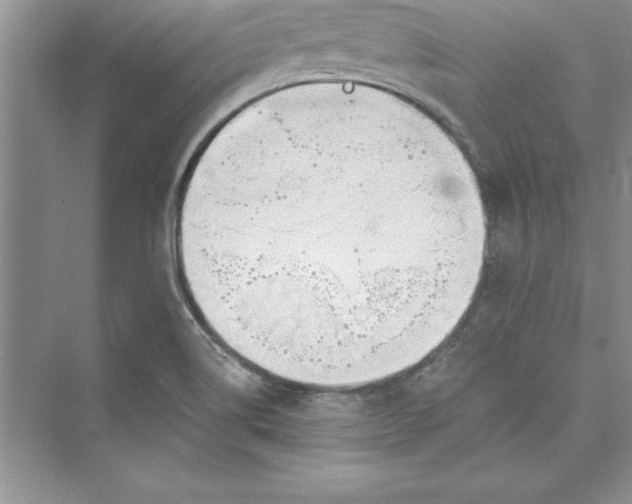 X0000073411514200608111311