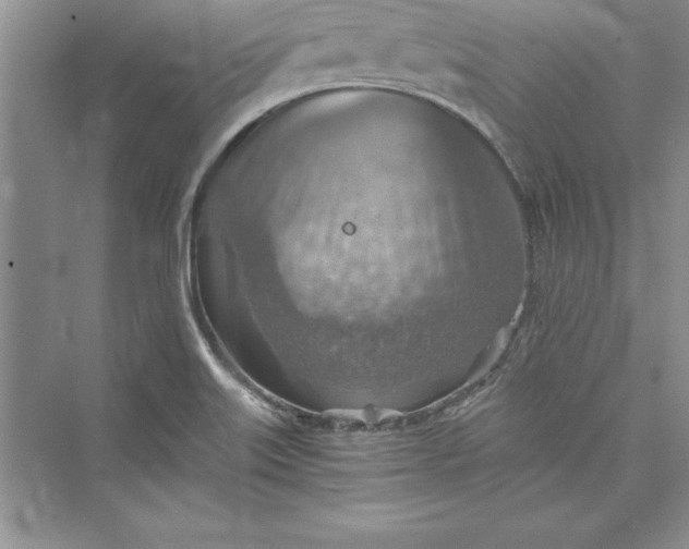 X0000073411515200608111311