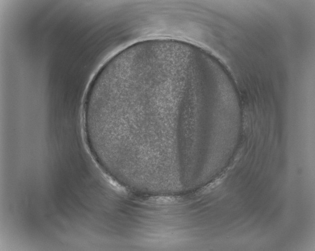 X0000073411517200608111311