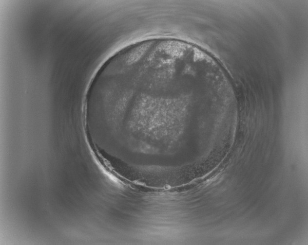 X0000073411519200608111312