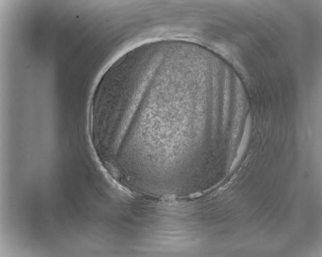 X0000073411520200608111312