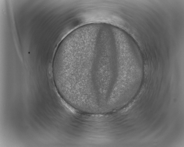 X0000073411521200608111312