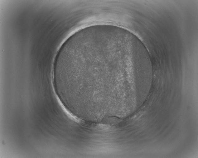 X0000073411523200608111312