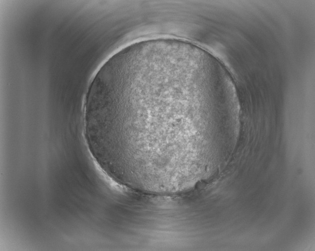 X0000073411524200608111312