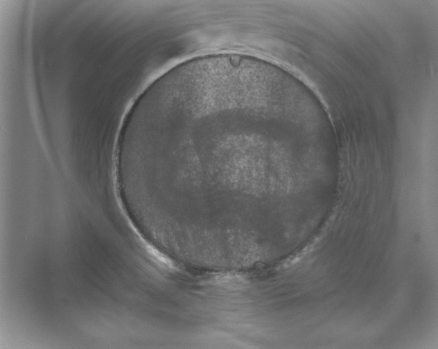 X0000073411525200608111312