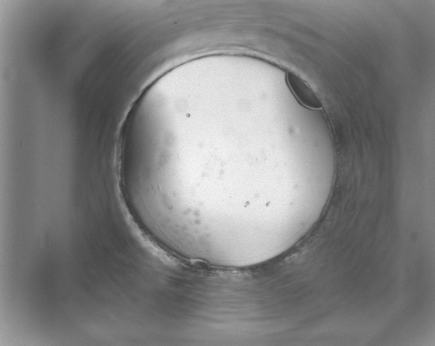 X0000073411526200608111312