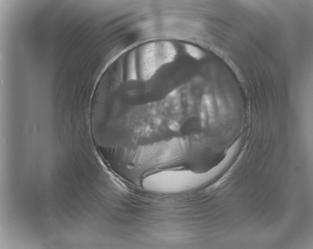 X0000073411529200608111312