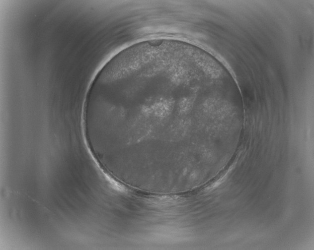 X0000073411533200608111312