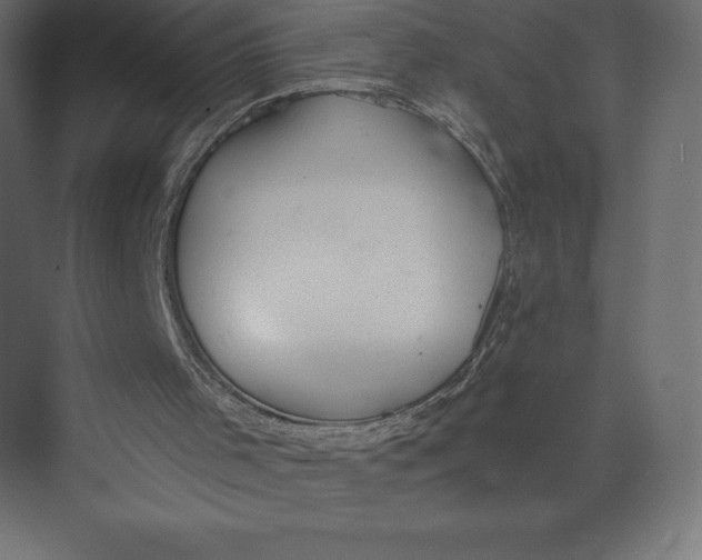 X0000073410001200608181107