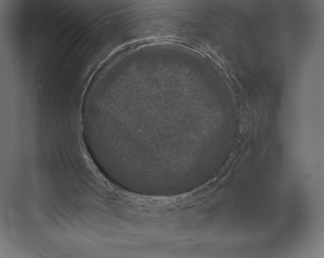 X0000073410002200608181107