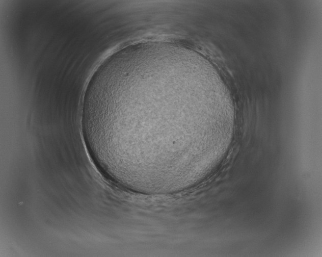 X0000073410003200608181107