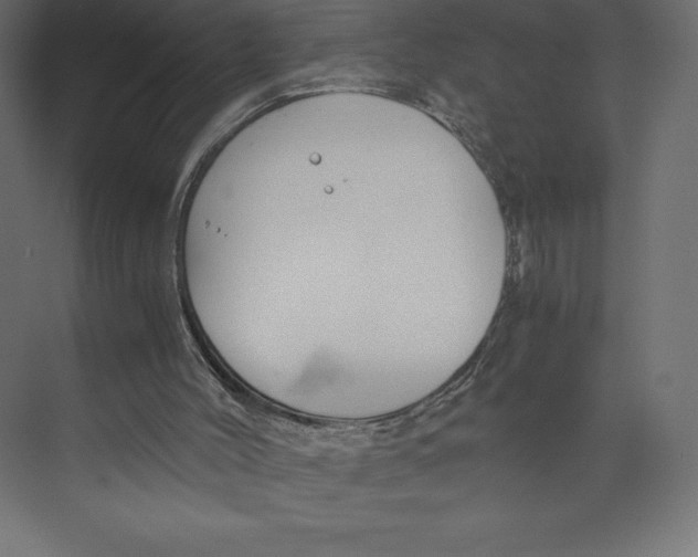 X0000073410004200608181107