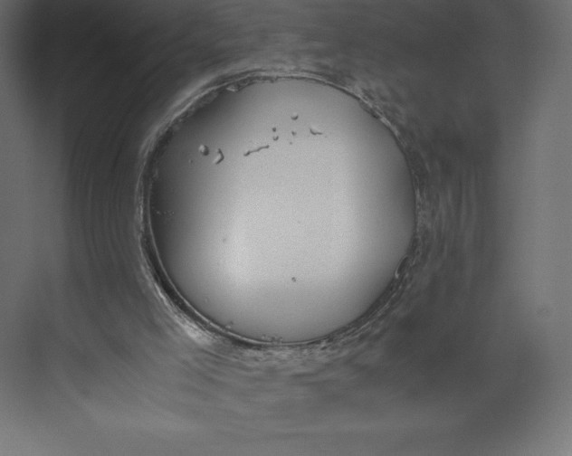 X0000073410005200608181107