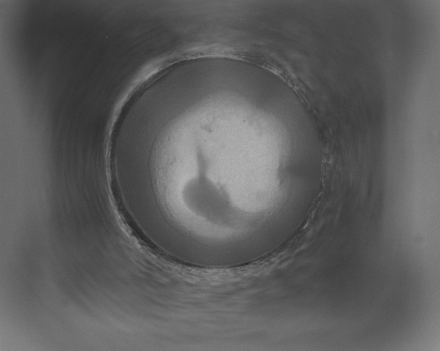 X0000073410006200608181107