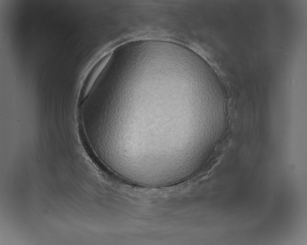 X0000073410007200608181107