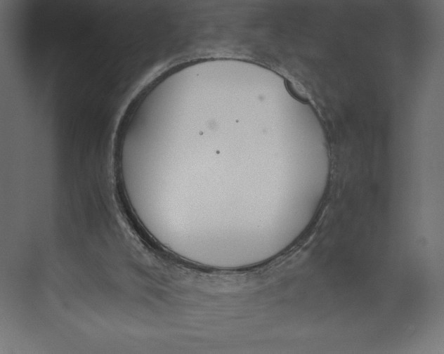 X0000073410008200608181107