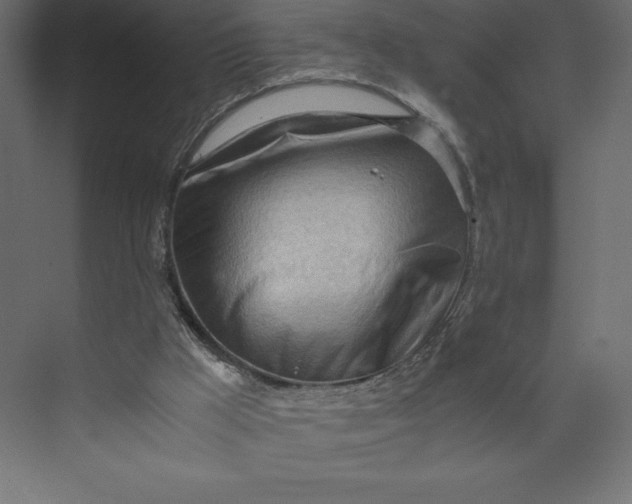 X0000073410009200608181107