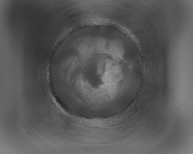 X0000073410010200608181107