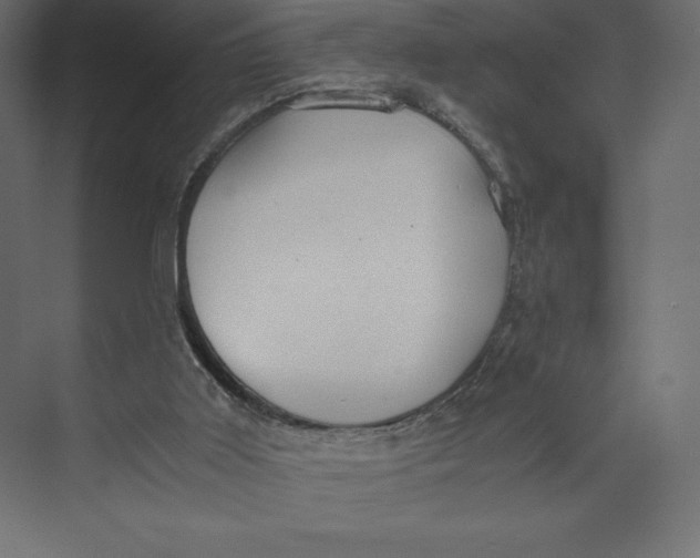 X0000073410011200608181107