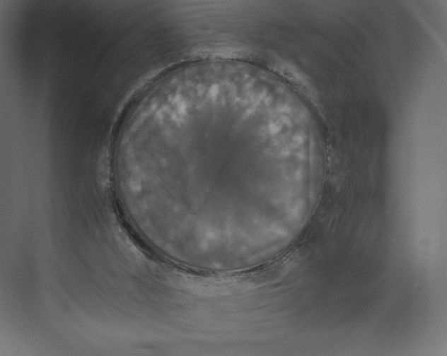 X0000073410012200608181107