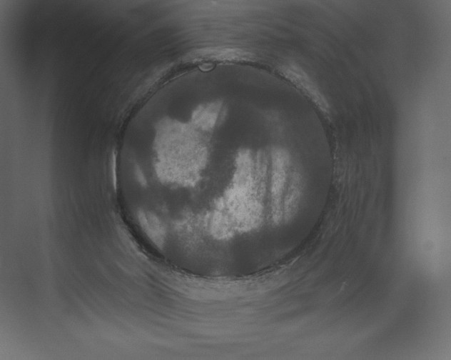 X0000073410014200608181107